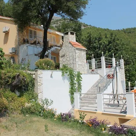 Bozana * ヴィガニ