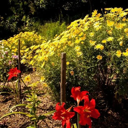 Bozana Апартаменты Вигань