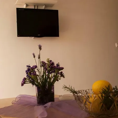 Bozana * Вигань