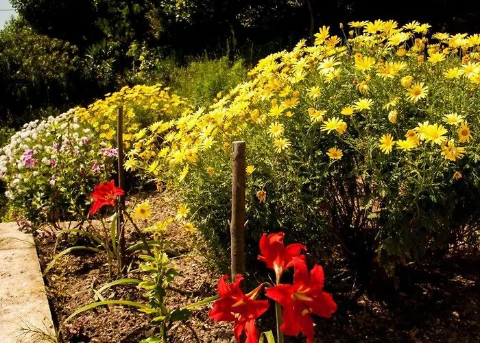 Bozana アパート ヴィガニ