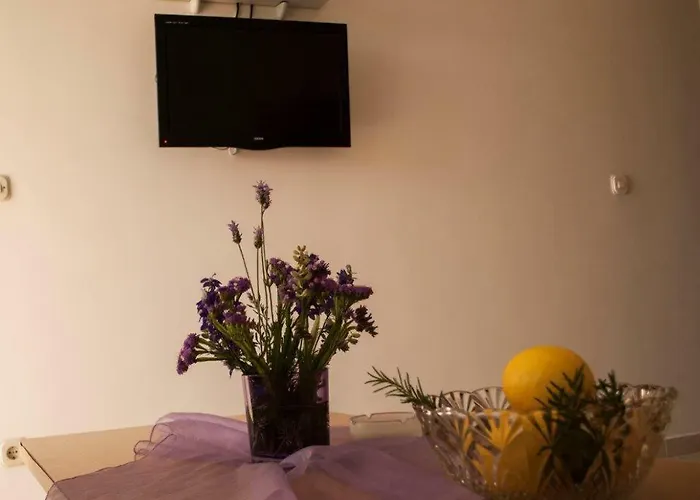 Bozana * ヴィガニ